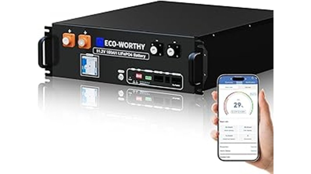 eco worthy battery performance review